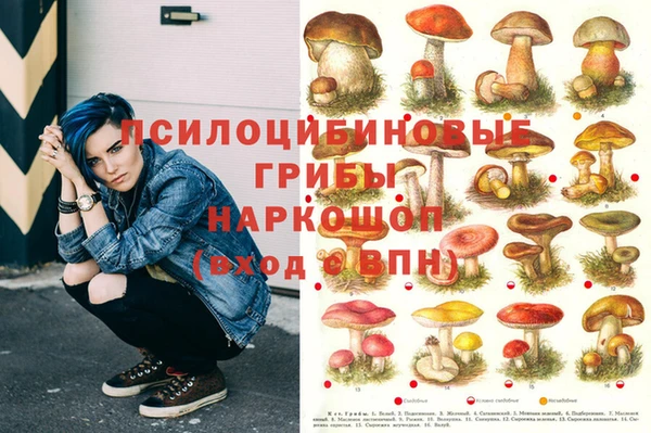 метамфетамин Аркадак