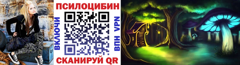 KRAKEN зеркало  Саяногорск  Псилоцибиновые грибы Cubensis 